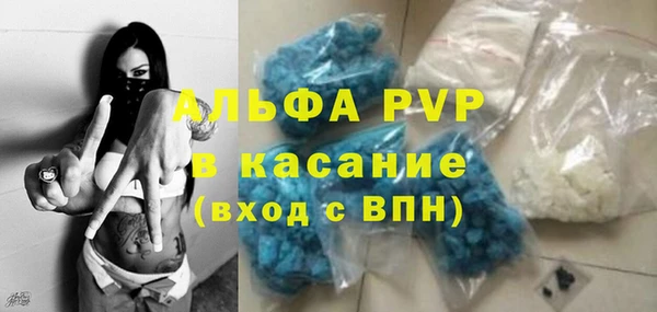 мяу мяу мука Пересвет