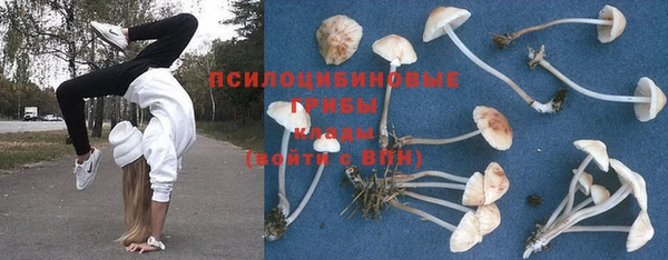 МДПВ Пестово